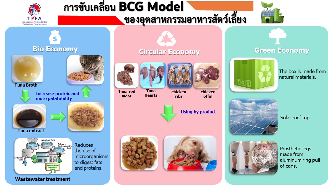 BCG Model in pet food - web